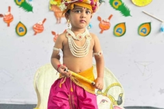 Krishnashtami-img17