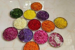 Onam-img2
